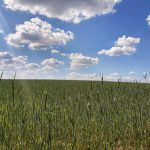 Von Natur - das Wochenende in Bildern