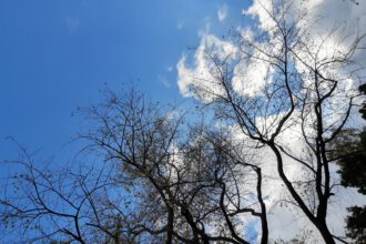 Ostsee in Zeiten von Corona Runzelfuesschen