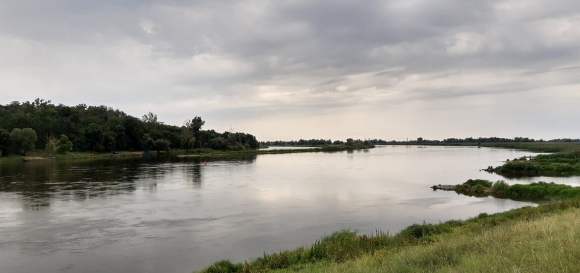 Hohenwutzen Runzelfuesschen